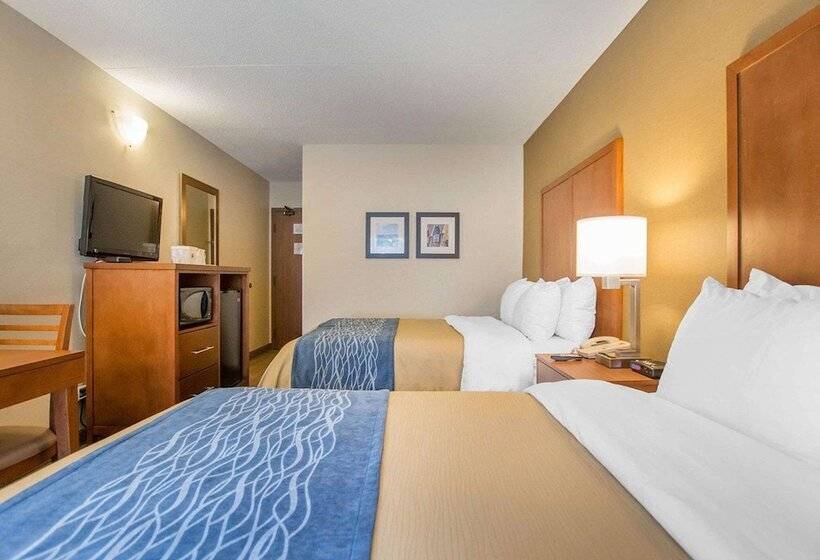 اتاق استاندارد با 2 تخت دوبل, Comfort Inn
