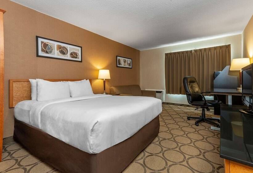 اتاق سوپریور در طبقه همکف, Comfort Inn