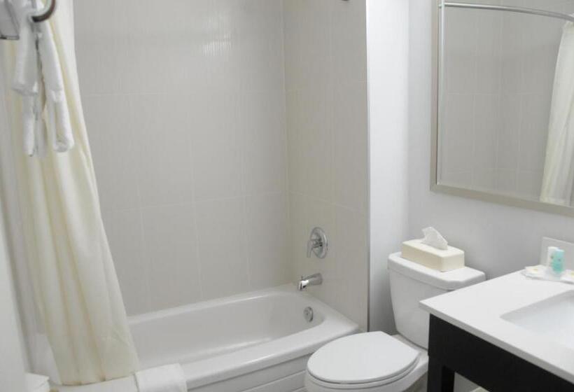 اتاق استاندارد, Comfort Inn