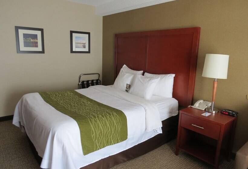 اتاق راحتی, Comfort Inn Dartmouth
