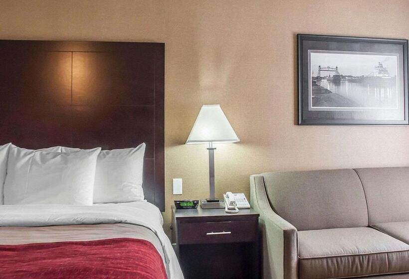 اتاق استاندارد با تخت بزرگ, Comfort Inn