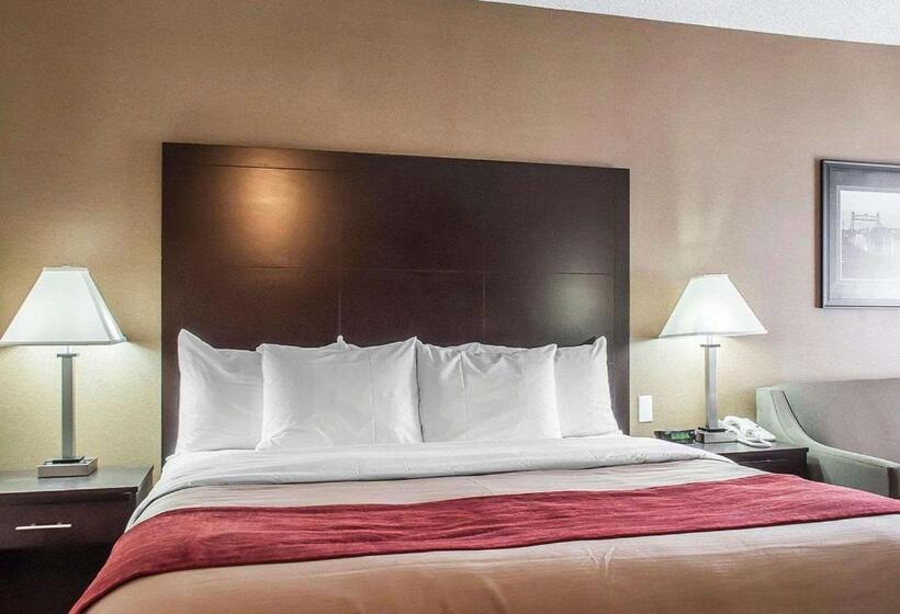 اتاق استاندارد با تخت بزرگ, Comfort Inn