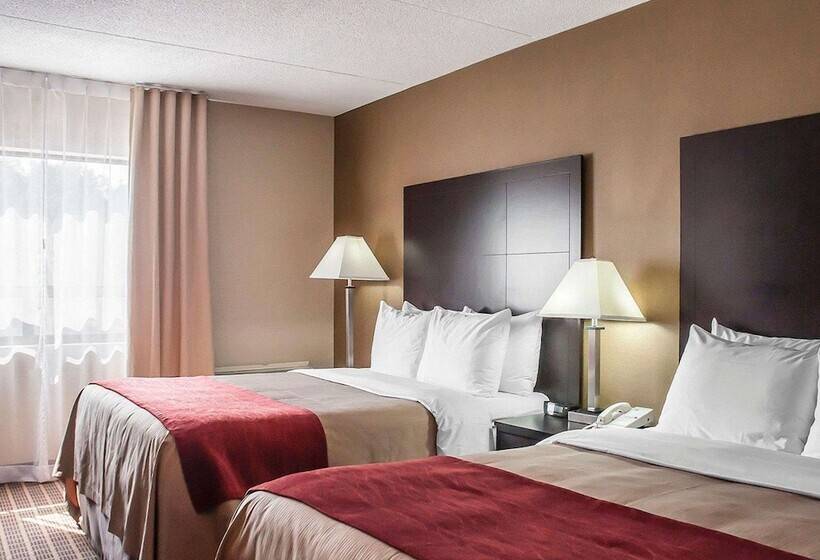 اتاق استاندارد با 2 تخت دوبل, Comfort Inn