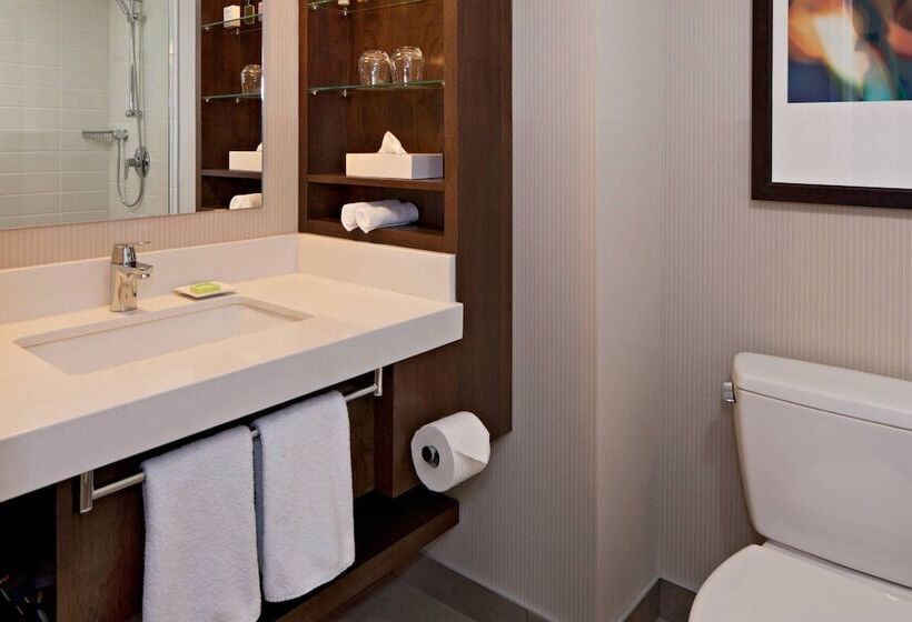 اتاق استاندارد, Delta Hotels By Marriott Edmonton South Conference Centre