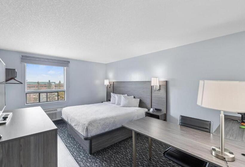 اتاق سوپریور برای معلولان, Emerald Hotel & Suites Calgary Airport