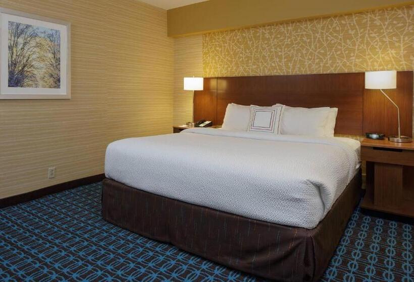 سوئیت با تخت بزرگ, Fairfield Inn & Suites By Marriott Belleville