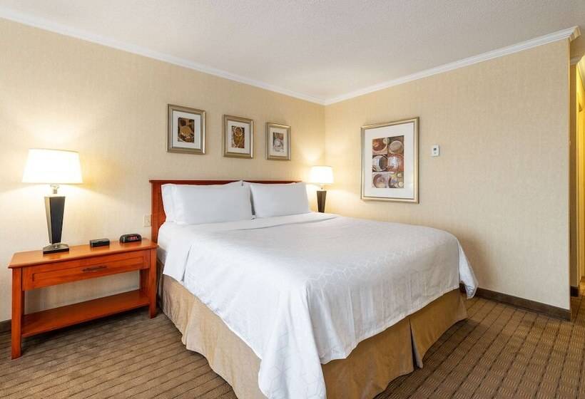 اتاق اجرایی, Allure Hotel & Conference Centre, Ascend Hotel Collection