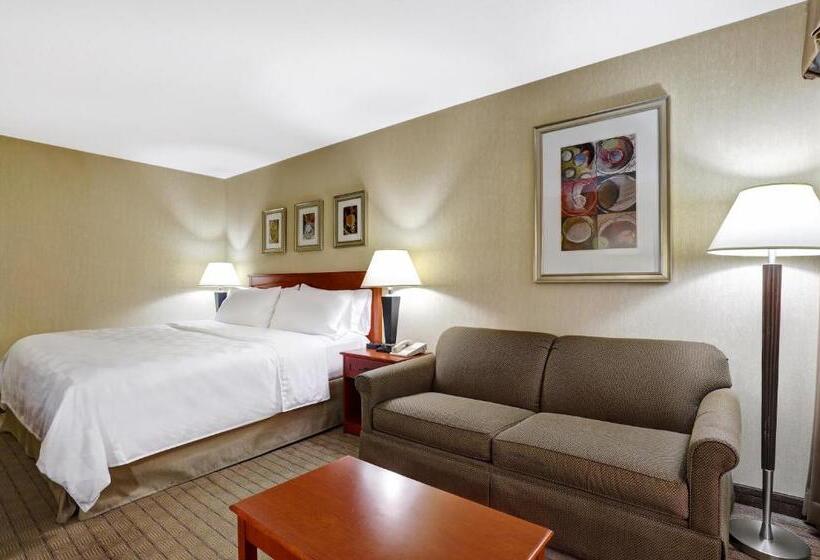 اتاق کلاس بیزنس, Holiday Inn Burlington Hotel & Conference Centre, An Ihg