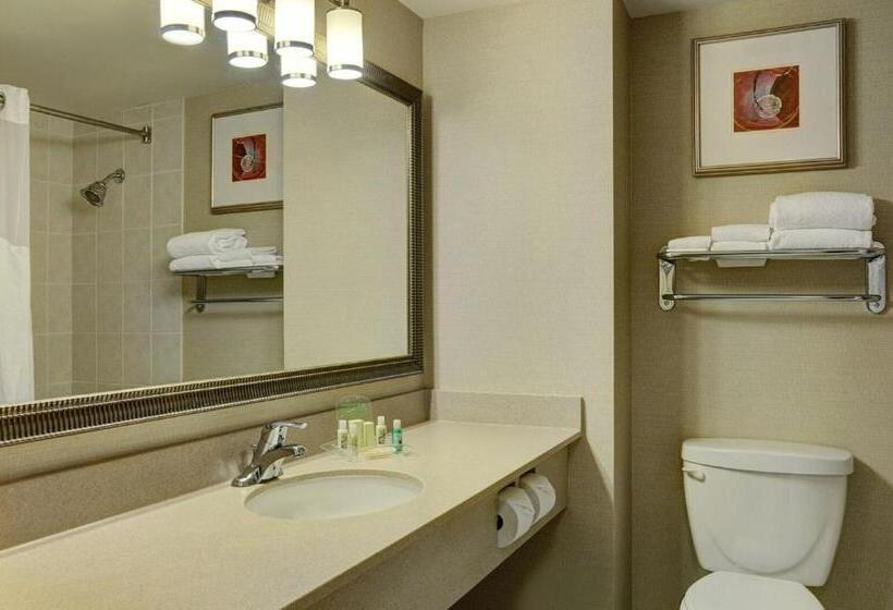 اتاق اجرایی با تخت بزرگ, Holiday Inn Burlington Hotel & Conference Centre, An Ihg