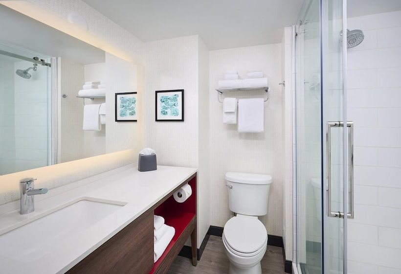 اتاق استاندارد با 2 تخت دوبل, Holiday Inn Burlington Hotel & Conference Centre, An Ihg