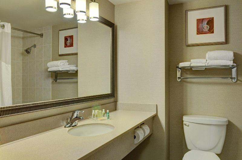 اتاق اجرایی با تخت بزرگ, Holiday Inn Burlington Hotel & Conference Centre, An Ihg