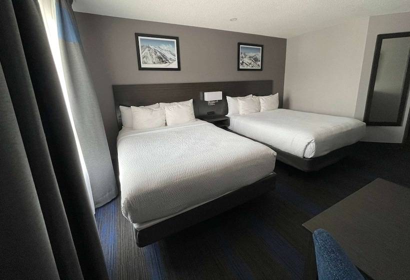 اتاق استاندارد با 2 تخت دوبل, Days Inn By Wyndham Barrie