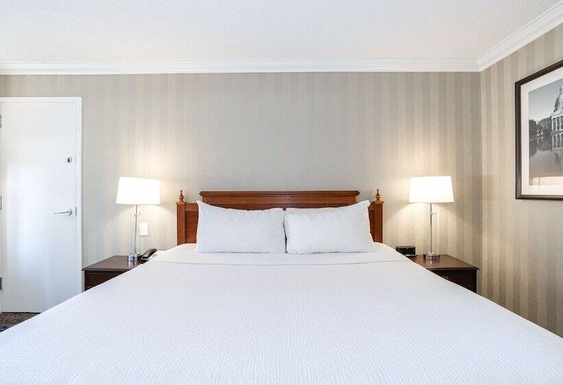 Deluxe Room, The Sutton Place  Edmonton