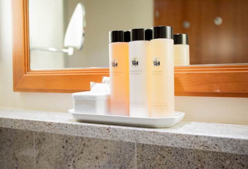 Camera Standard Individuale, Arosa Kulm Hotel & Alpin Spa