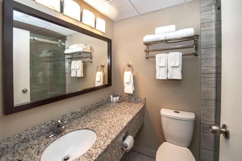 اتاق استاندارد با تخت بزرگ, Clarion Pointe