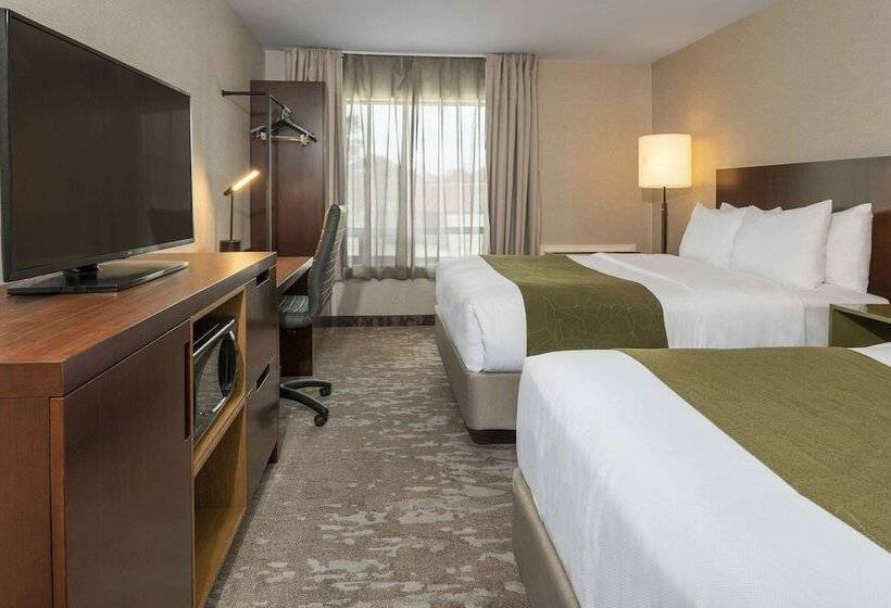 اتاق استاندارد با 2 تخت دوبل, Comfort Inn Thunder Bay