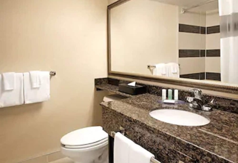 اتاق استاندارد, Comfort Suites Downtown