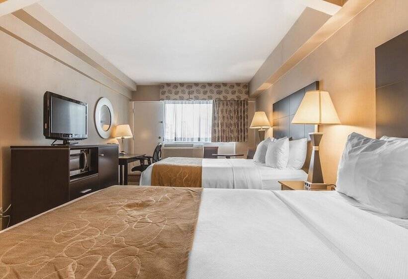 اتاق استاندارد, Comfort Suites Downtown