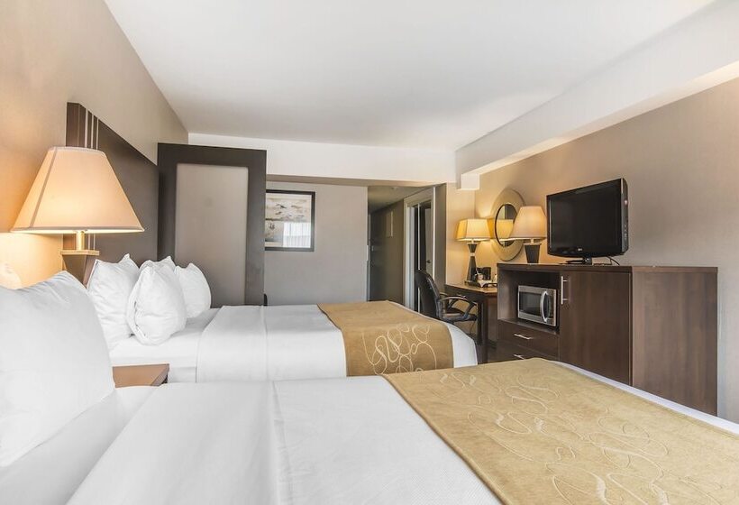 Chambre Standard, Comfort Suites Downtown