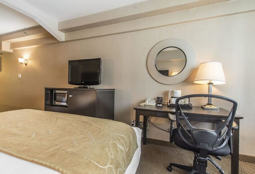 اتاق استاندارد, Comfort Suites Downtown