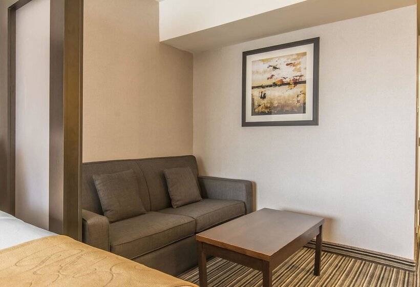 اتاق استاندارد, Comfort Suites Downtown