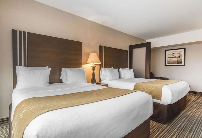 اتاق استاندارد, Comfort Suites Downtown
