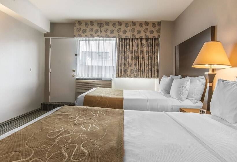 اتاق استاندارد, Comfort Suites Downtown