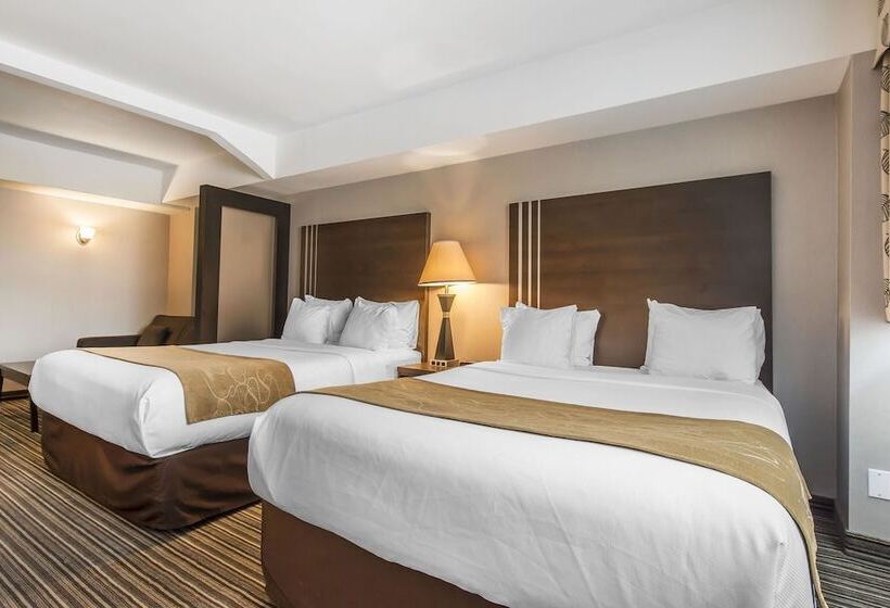 اتاق استاندارد, Comfort Suites Downtown