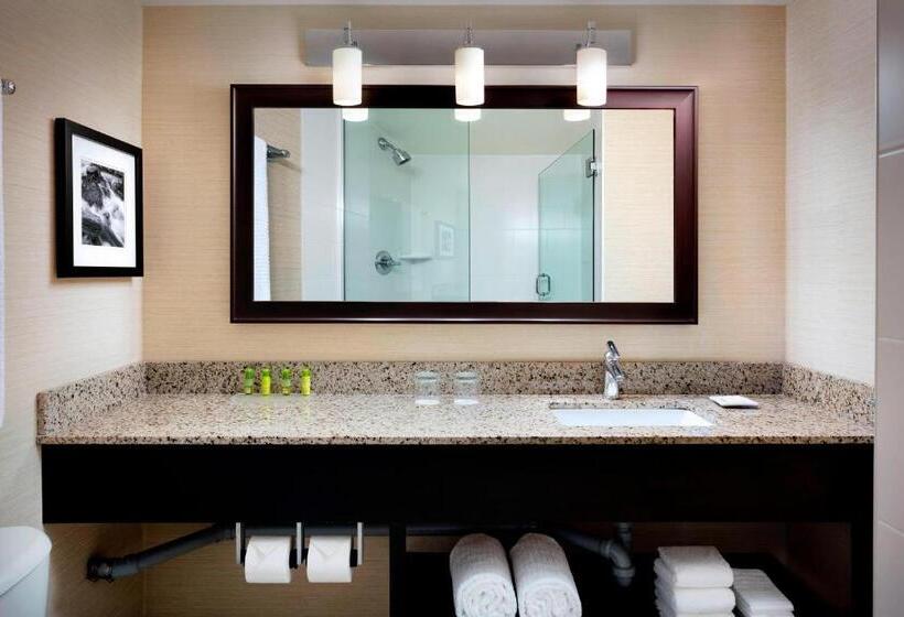 اتاق دلوکس با تخت کینگ و چشم‌انداز, Delta Hotels By Marriott Sault Ste. Marie Waterfront