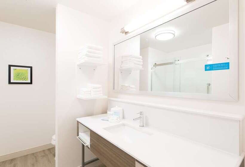 استودیو استاندارد با تخت کینگ, Hampton Inn & Suites By Hilton Toronto Downtown