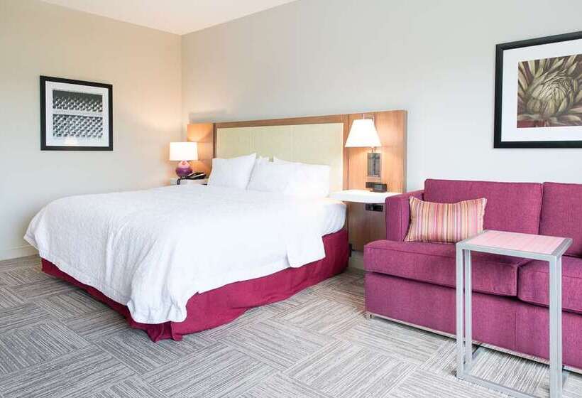 استودیو استاندارد با تخت کینگ, Hampton Inn & Suites By Hilton Toronto Downtown