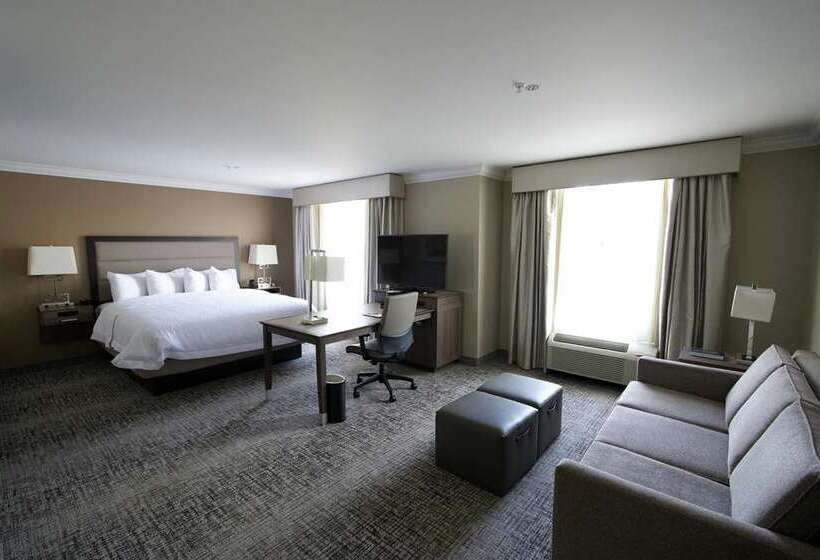 استودیو استاندارد با تخت کینگ, Hampton Inn & Suites By Hilton Toronto Downtown