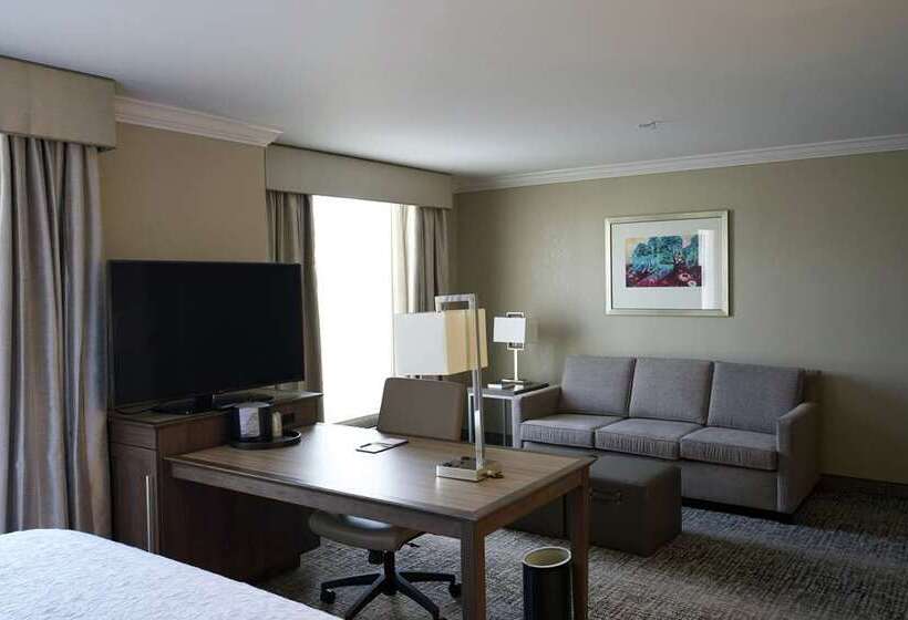 استودیو استاندارد با تخت کینگ, Hampton Inn & Suites By Hilton Toronto Downtown