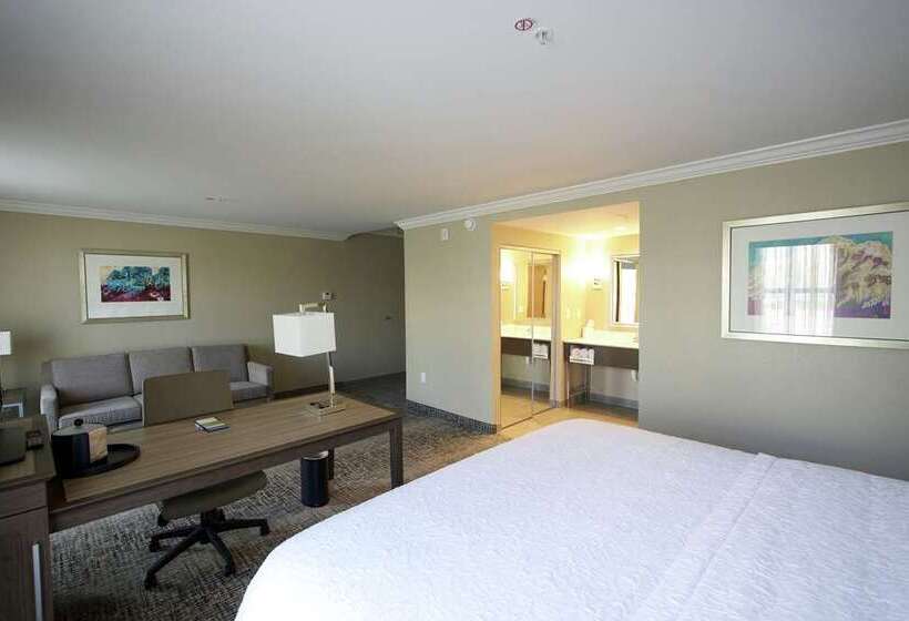 استودیو استاندارد با تخت کینگ, Hampton Inn & Suites By Hilton Toronto Downtown