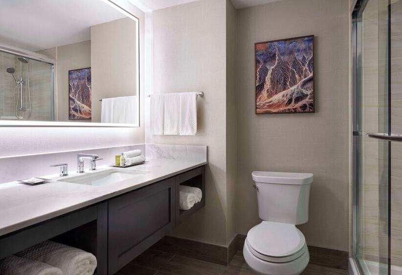 Standard-huone 2 Parivuodetta, Hilton Toronto
