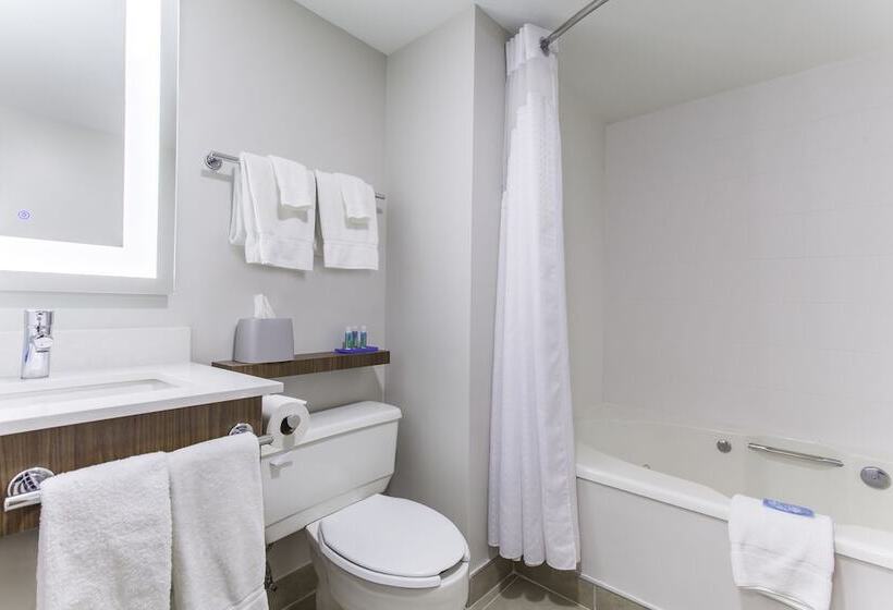 חדר סטנדרט, Holiday Inn Express & Suites Mississauga Toronto Southwest, An Ihg