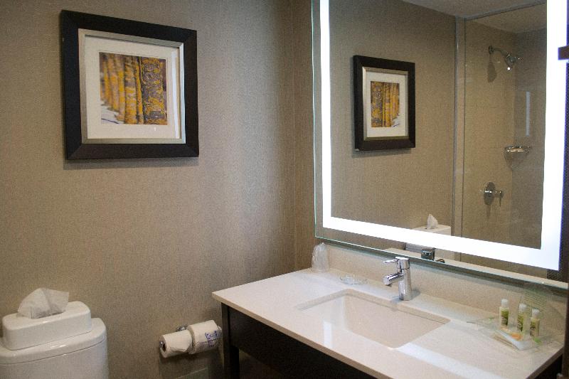 اتاق اجرایی با تخت بزرگ, Holiday Inn Sudbury, An Ihg