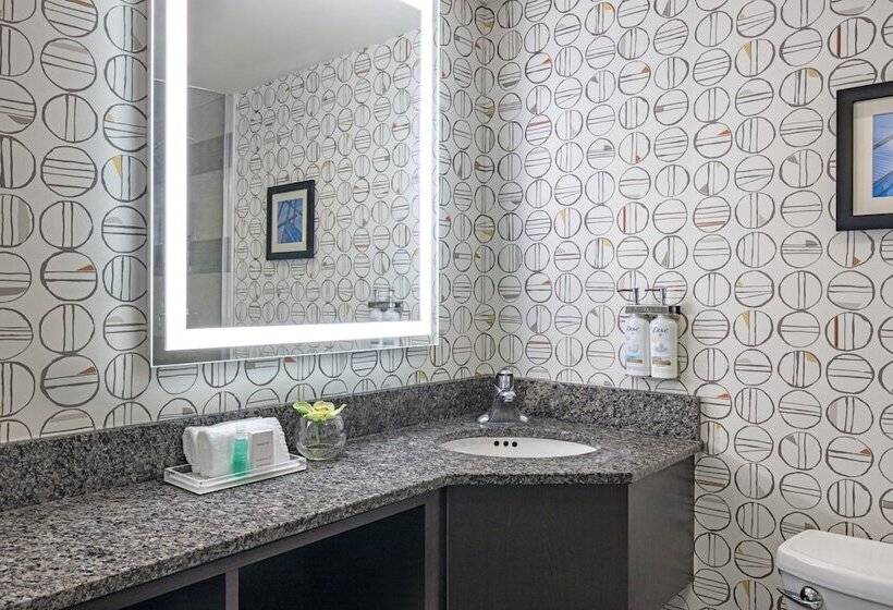 اتاق استاندارد با 2 تخت دوبل, Holiday Inn Toronto Downtown Centre, An Ihg
