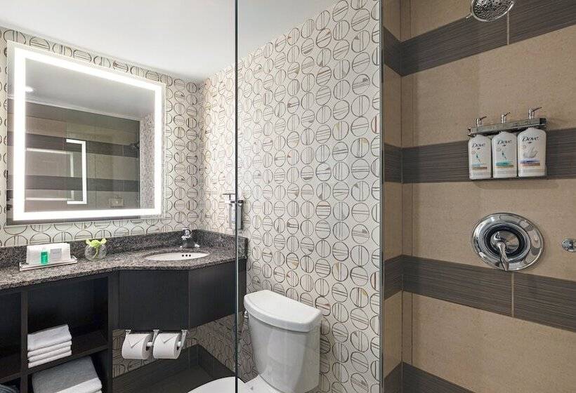 اتاق استاندارد با 2 تخت دوبل, Holiday Inn Toronto Downtown Centre, An Ihg