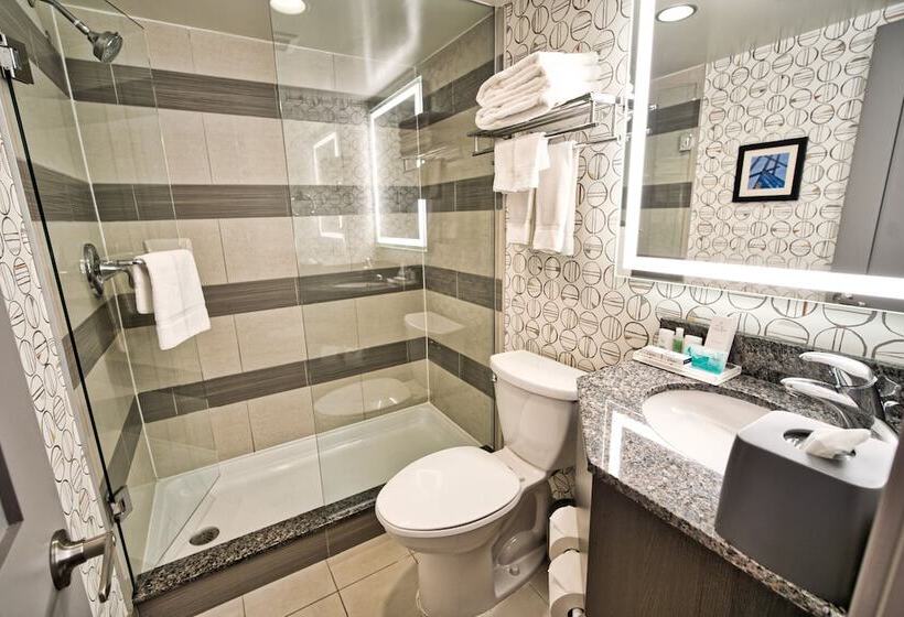 اتاق استاندارد با 2 تخت دوبل, Holiday Inn Toronto Downtown Centre