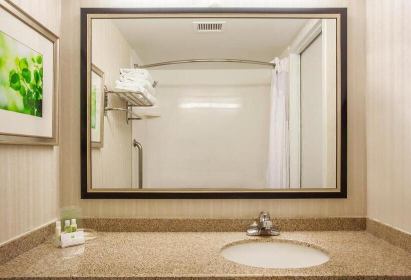 اتاق استاندارد با تخت بزرگ, Holiday Inn Toronto International Airport, An Ihg