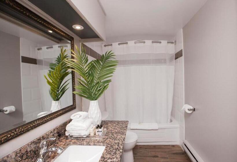 Superior Interior Room, Old Stone Inn Boutique