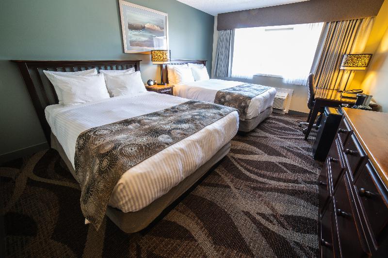 اتاق استاندارد با تخت دو نفره بزرگ, Prestige Hudson Bay Lodge, Premier Collection