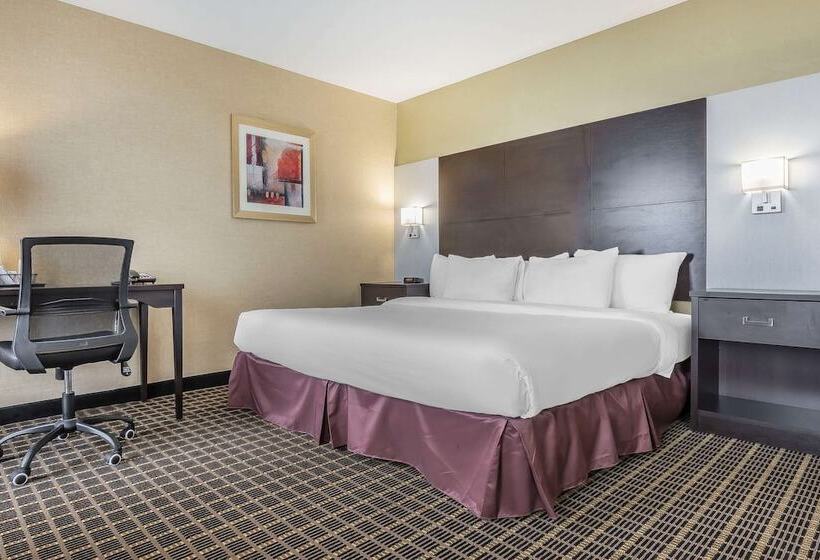 Suite Adapted for people with reduced mobility, Quality Inn & Suites Downtown
