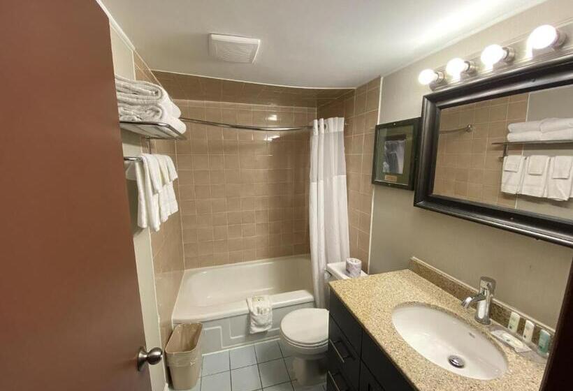 Standard Room, Quality Inn & Suites