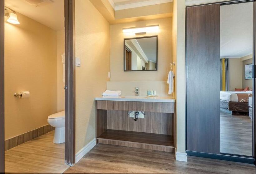 Suite, Quality Inn & Suites