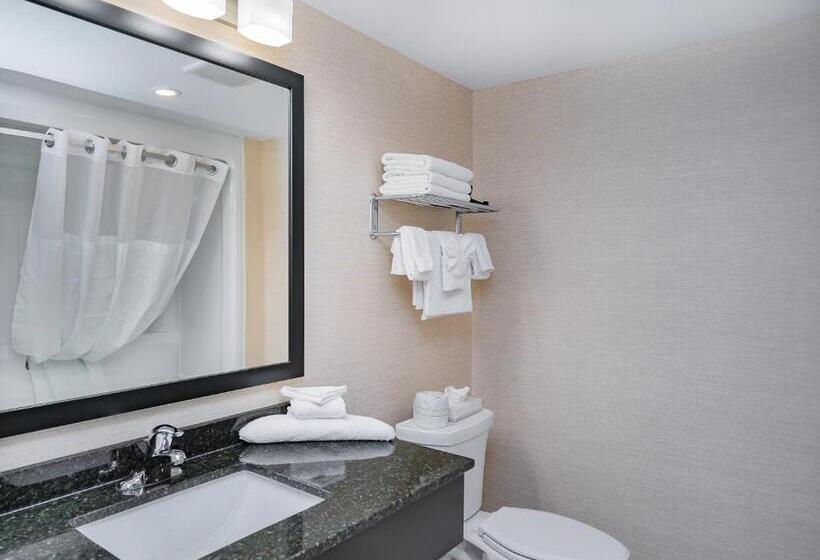 اتاق استاندارد با تخت بزرگ, Ramada By Wyndham Niagara Falls Near The Falls