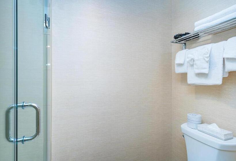 اتاق استاندارد با تخت بزرگ, Ramada By Wyndham Niagara Falls Near The Falls