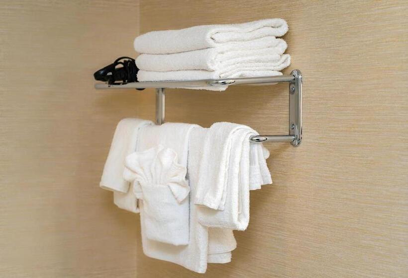 اتاق لوکس, Ramada By Wyndham Niagara Falls Near The Falls