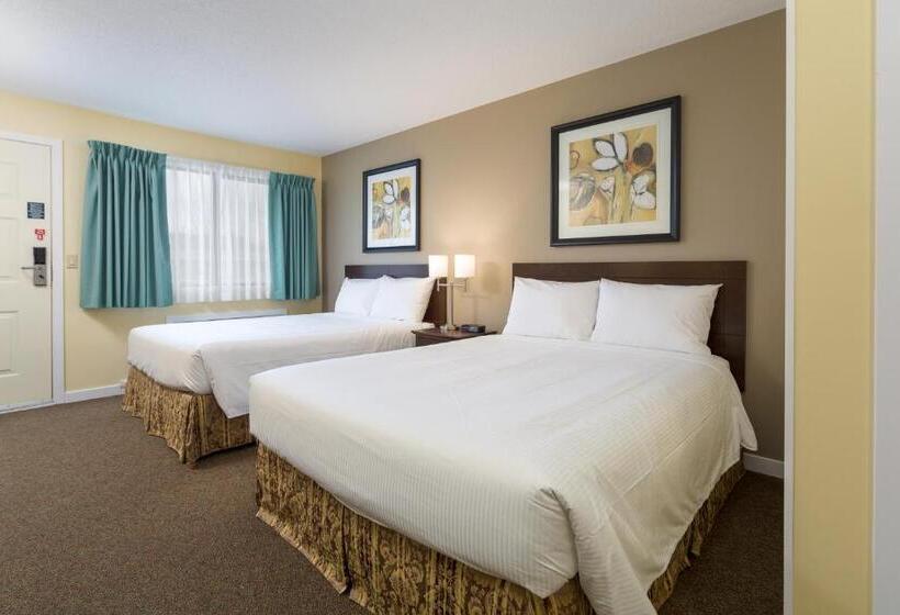اتاق استاندارد با آشپزخانه, Siesta Suites